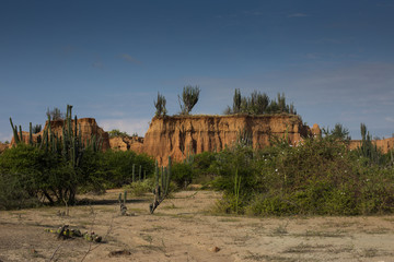 Blauer Himmel über grüner Wüste