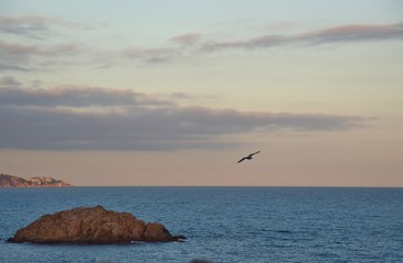 Isolotto vicino alla spiaggia di Tossa de mar in Catalogna