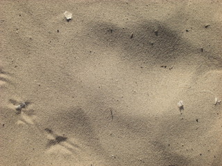 Sand - Hintergrund