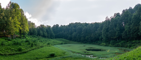 Panoramic views of Green Lake, overgrown with grass