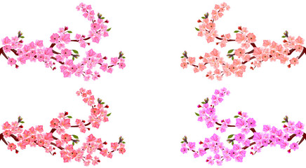 Sakura. Set. Four branches with different shades of flowers. Leaves and cherry buds. On a white background. illustration