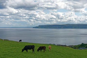 Nordirland - Cushendun - Küste