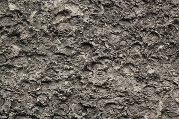 hoofprints