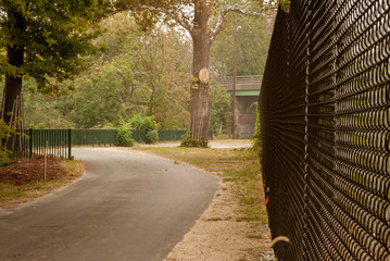 Curvy section of Blackstone River bike path