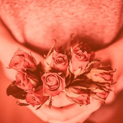 rote Rosen zum Valentinstag
