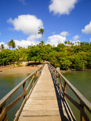 Fototapeta premium Bridge at trilha dos holandeses (Dutch trail), hiking path that goes from Fort Orange to Vila Velha - Ilha de Itamaraca, Brazil
