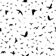 Flying birds silhouettes on white background. Animals seamless detailed pattern. Black on white backgound. Vector illustration