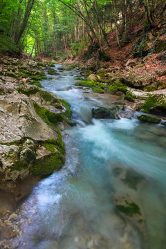 Mountain river in summer. Water stream at forest. Composition of nature