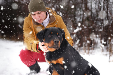 a head and shoulders portrait of a cute white rottweiler dog looking at the camera with on snow white background with copyspace. Shallow depth of field