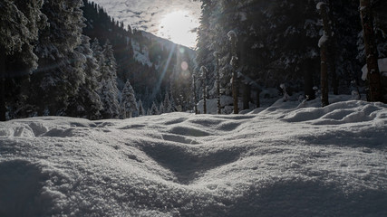 Reflektionen im Schnee