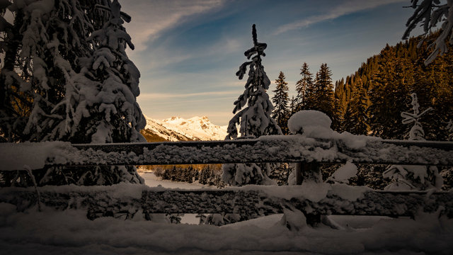 Schneebedeckter Berg durch Tannen