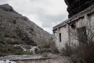 Fototapeta premium Teneriffa