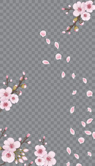 Obraz na płótnie Canvas Theme design fabric, invitations, packaging, cards, story. Handmade background in the Japanese style. Flying sakura flowers. Rose on transparent background.