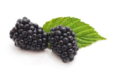 Berries blackberries closeup.