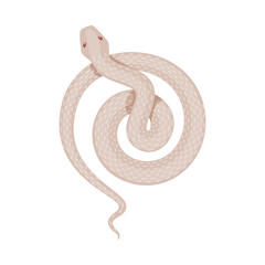 Vector design of poison and evil icon. Set of poison and bite stock vector illustration.