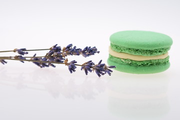 green macarons and lavender