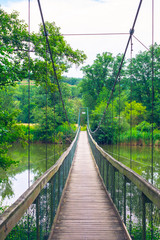 Obraz premium Region Morawski, wokół Parku Narodowego Podyji, Czechy. Winnica. Wino, krajobraz. Wycieczka rowerowa. Most nad rzeką Dyją.