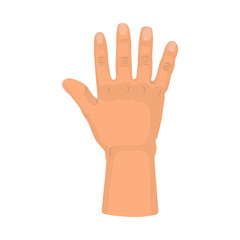 Vector illustration of body and part icon. Set of body and anatomy stock vector illustration.