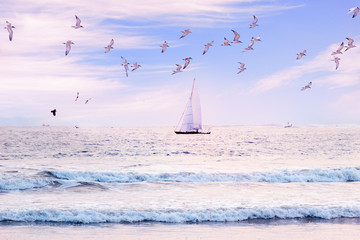 Sailboat in the sea, luxury summer adventure, active vacation in Sri Lanka.  Holiday landscape with...