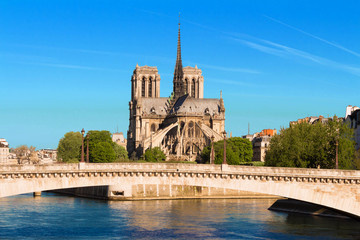 Fototapeta na wymiar Notre-Dame Cathedral at sunny day, Paris , France