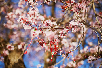 Branch of blossoming cherry tree with red and white martisor