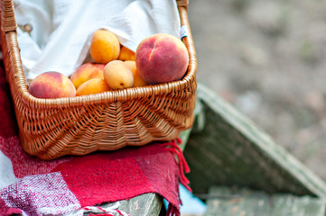 Girls eat peaches in the village visiting grandmother