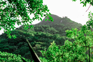 Mountain at daylight