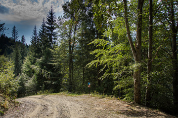 Fototapeta na wymiar road through the forest to the Monastery St. John Iacob , Suceava , Romania,2017