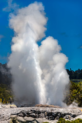 New Zealand, North Island. Rotorua, the Whakarewarewa Thermal Valey. Pohutu Geyser (