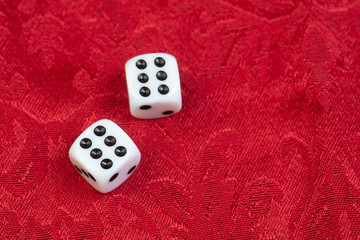 12 dice