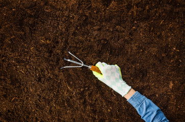 Woman hand planting a plant on a natural, soil backgroud. Camera from above, top view. Natural background for advertisements.