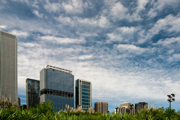 507-43 Clouds Hover Over the Lurie Garden and the Chicago Skyline