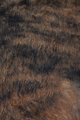 Abstract brown wool hair