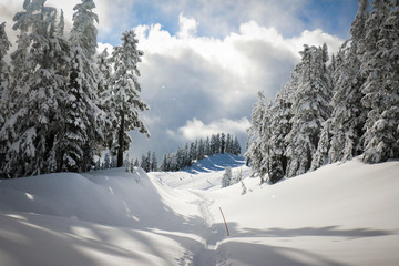 Fototapeta na wymiar Trail in the snowy mountain