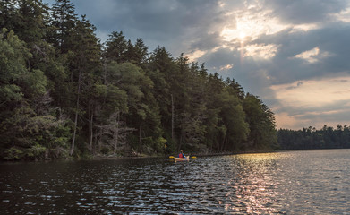 woman kayaking in peaceful waters alongside a beautiful green foret