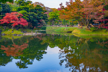 Colorful autumn leaves in Japanese garden with reflection on water