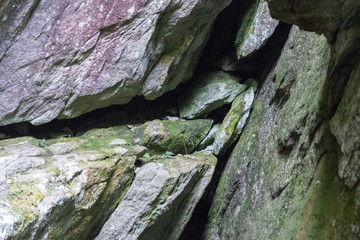 Colorful and textured mossy gray rock