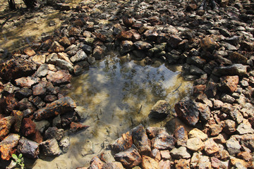 stones in the water