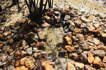 pile of stones