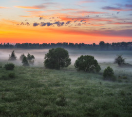 spring morning valley of the picturesque river. foggy dawn