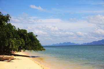 tropical beach and sea