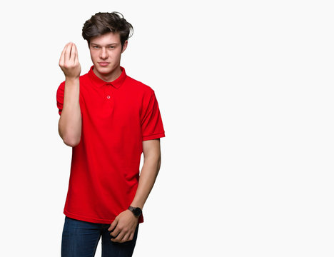 Young handsome man wearing red t-shirt over isolated background Doing Italian gesture with hand and fingers confident expression