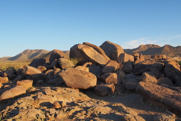 Obraz premium Petroglyphs attributed to the Hohokam people on the rocks of Signal Hill in Saguaro National Park near Tucson, Arizona.