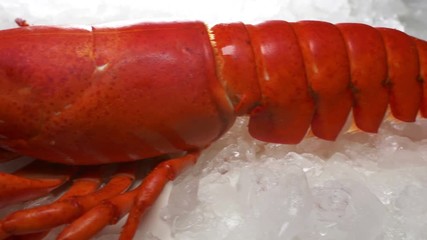 Lobster on ice