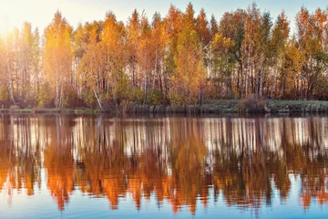 Foto auf Acrylglas Autumn birch trees by the lake at sunset time. © serjiob74