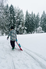 Snowboarder woman waking on the mountain forest with snowboard in hands. Back view