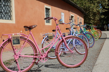 Fototapeta na wymiar Lucca Bikes moments 