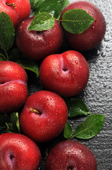 Prunus domestica Prugne ft7106_1733 Prunes Pugna