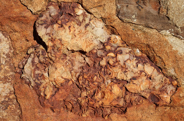 Image patch of original wall of 14-th century with bricks of shell rocks, background texture close up
