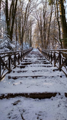 Góry Świętokrzyskie, szlak na łysicę zimą, schody